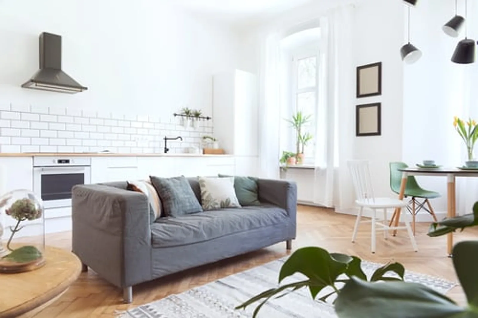 Bright, freshly cleaned open-plan living space in a Philadelphia home
