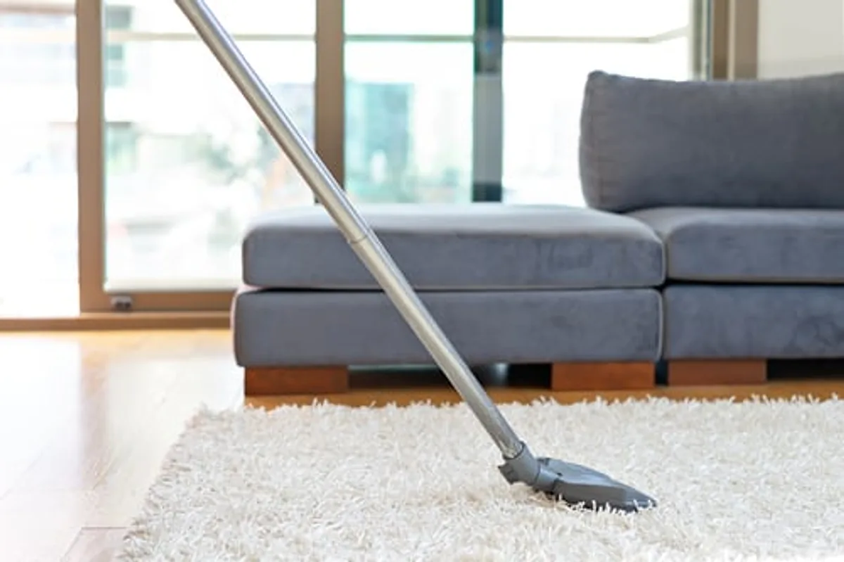 Vacuum cleaning a light rug in a modern living room with a grey sofa