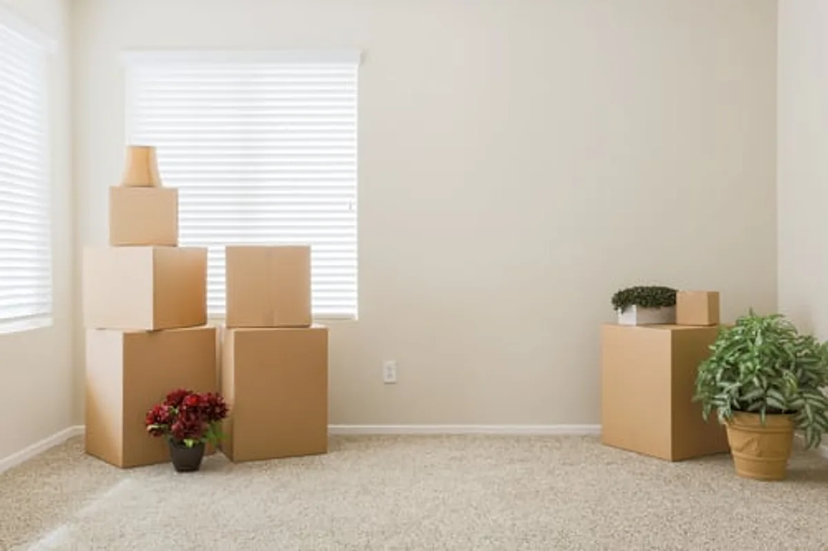 Cardboard moving boxes and a plant in an empty room ready for a move-out clean