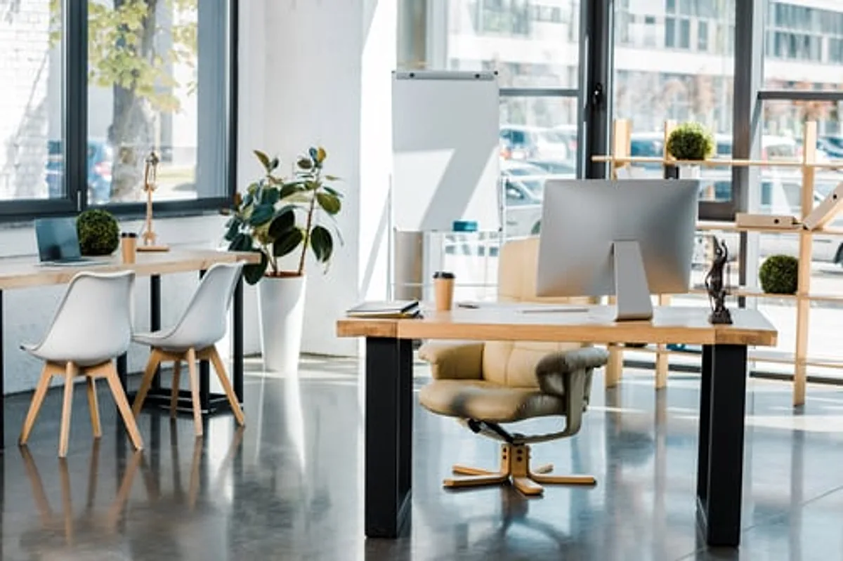 Clean modern open-plan office with desks, plants and natural light
